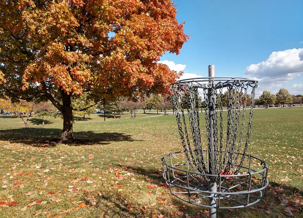 A basket in an open park under an orange autumn tree