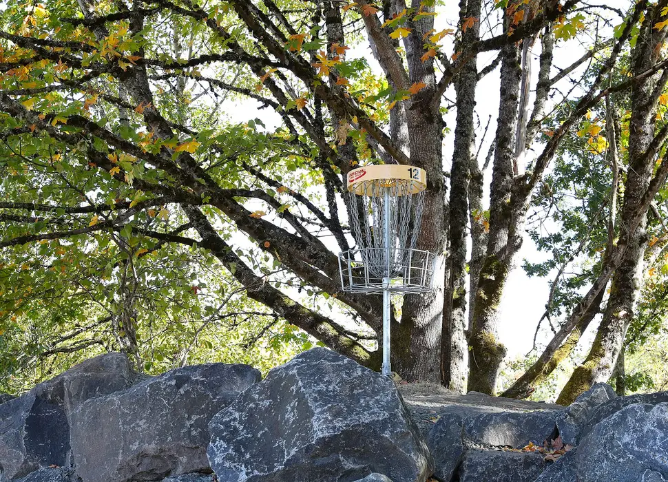 A basket set on a rock wall under a tree