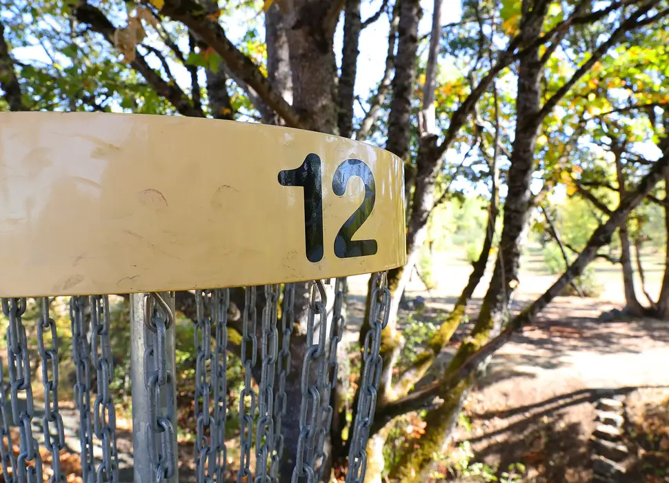 Close-up of the number band and chains on basket 12
