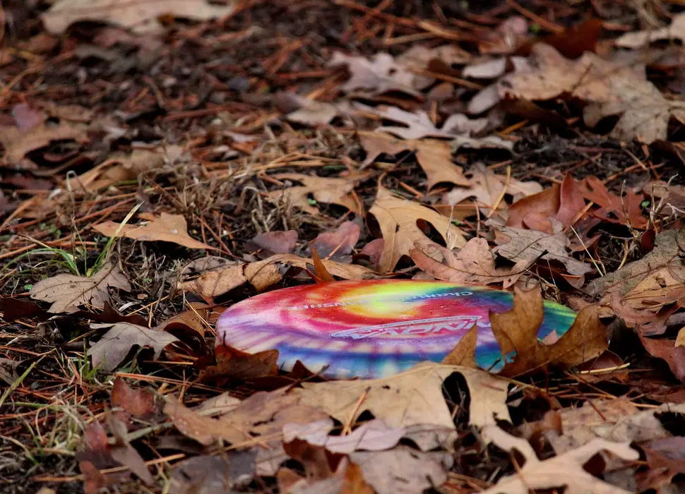 A tie-dye disc lying in fallen leaves in Branson, Missouri
