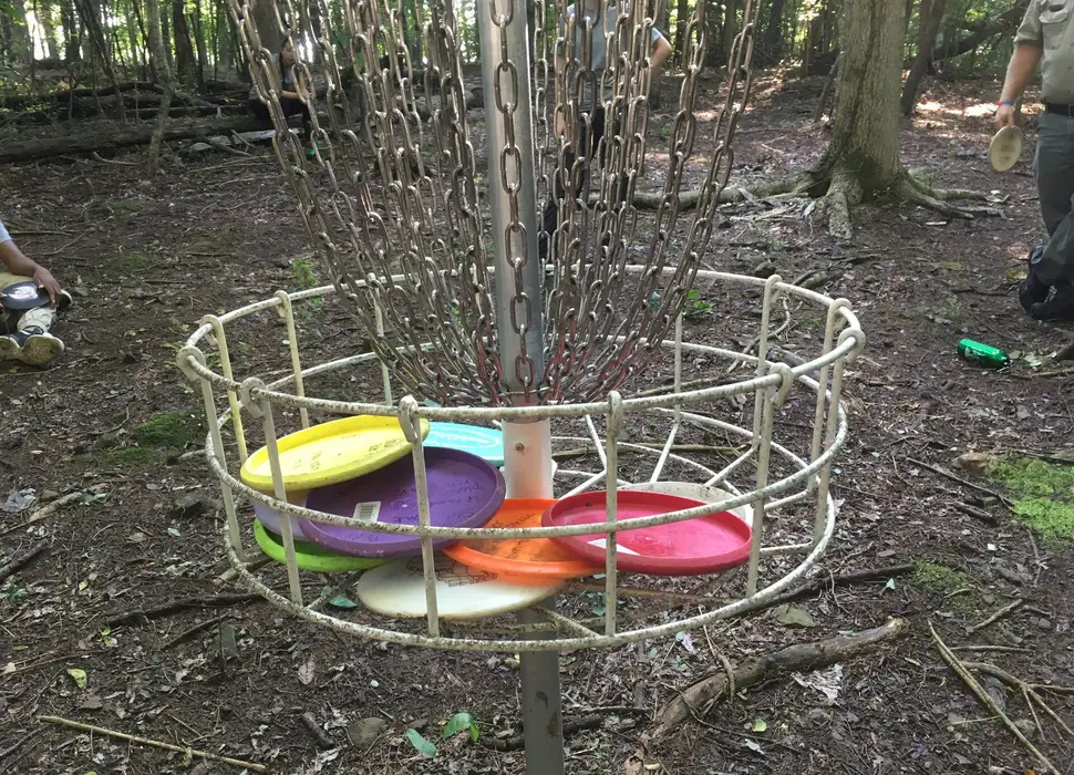 Colorful discs resting in a basket