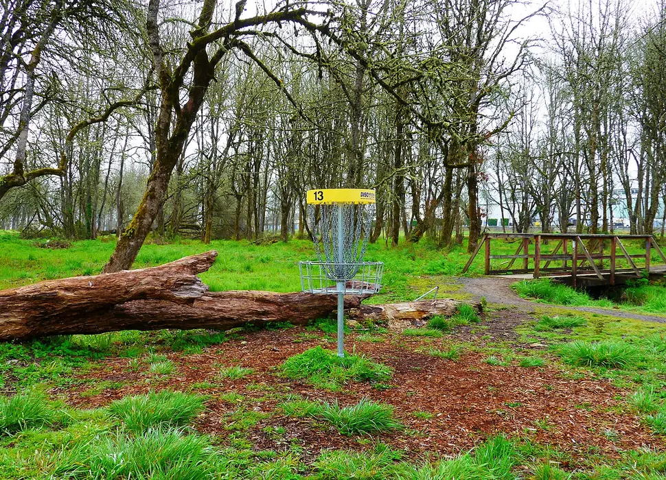 A basket on a green wooded hole beside a footbridge