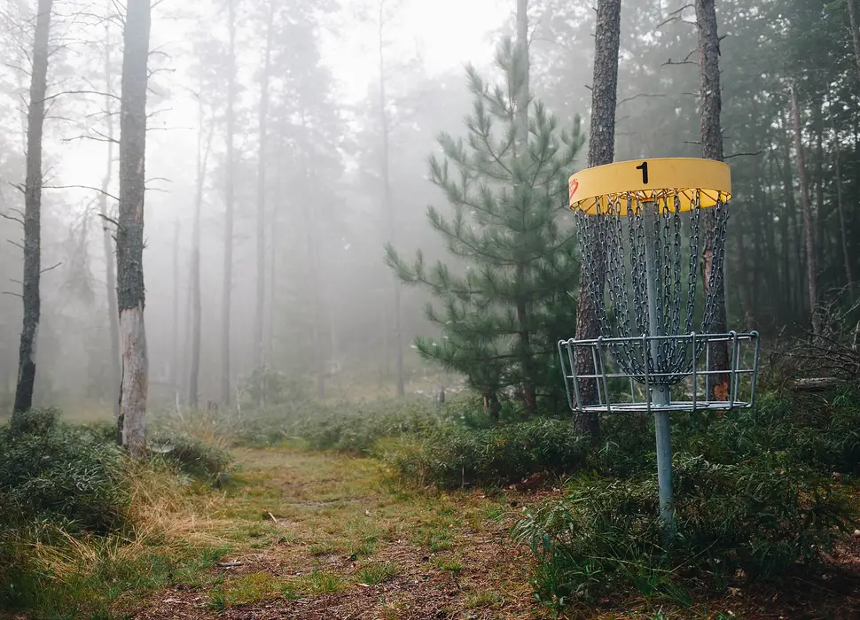 A disc golf basket on a misty wooded fairway